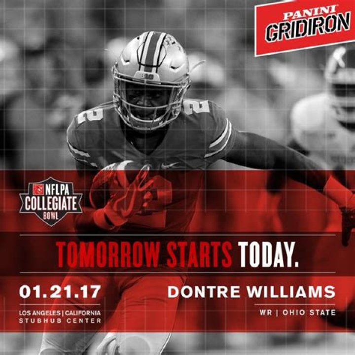 dontre-wilson