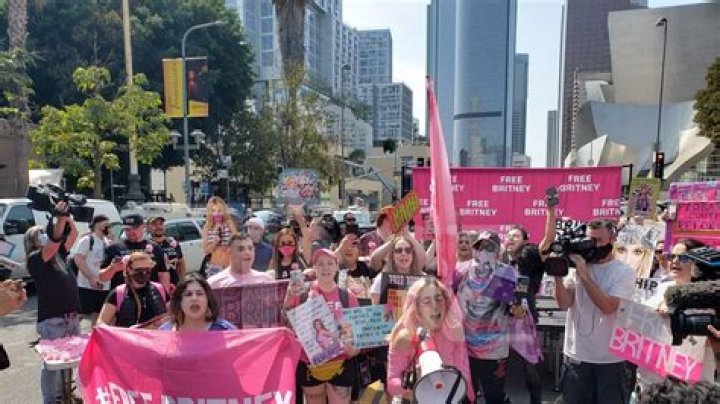 Free Britney Spears protestors