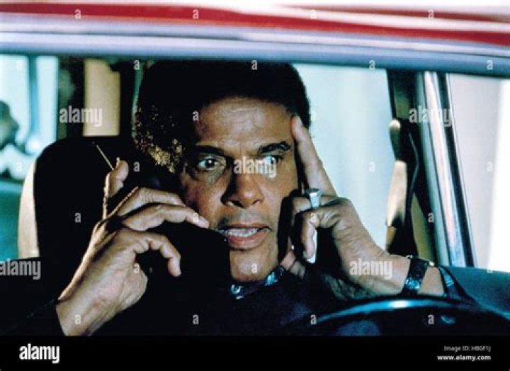 Harry Belafonte, 1995