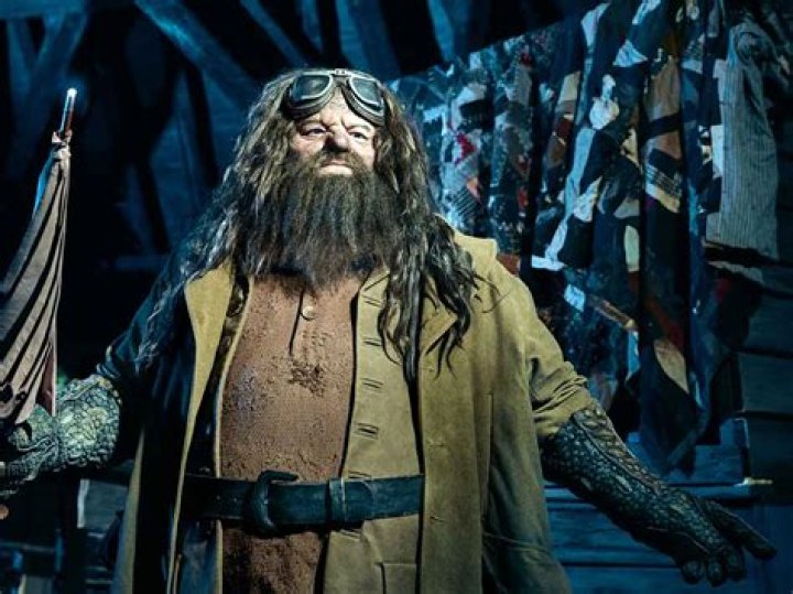Harry Potter Harry Hagrid