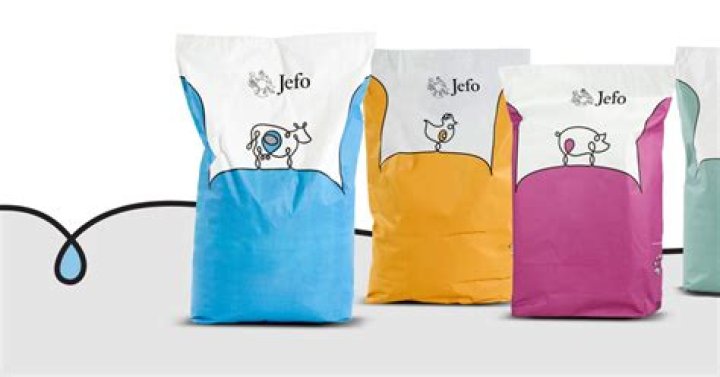 Jefo Jefo