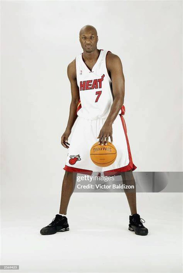 Lamar Odom poses in a &lsquo;DWTS&rsquo; promo pic