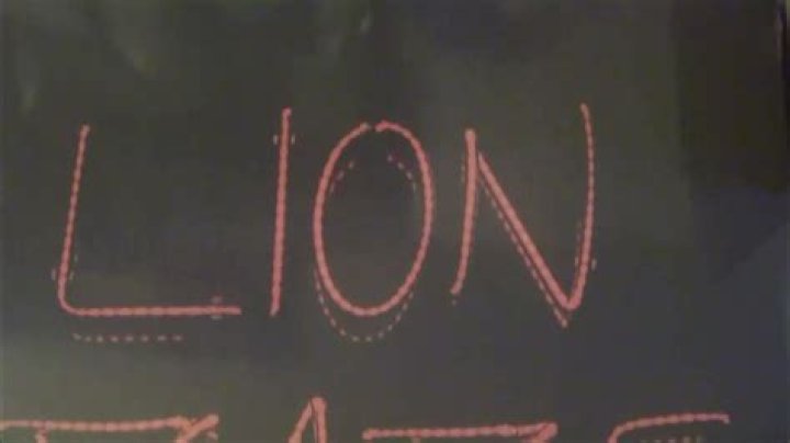 lion-babe-4