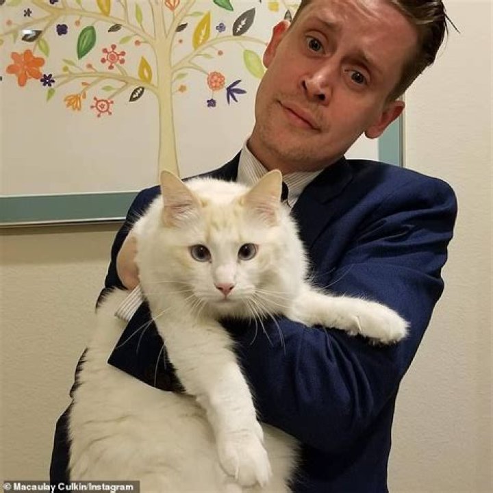 Macaulay Culkin At CatCon