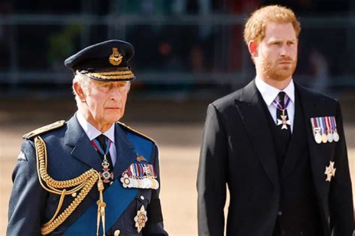 prince harry, prince william, king charles
