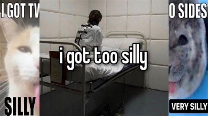 Silly T.O Silly T.O