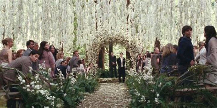 Stephenie Meyer Breaking Dawn Wedding